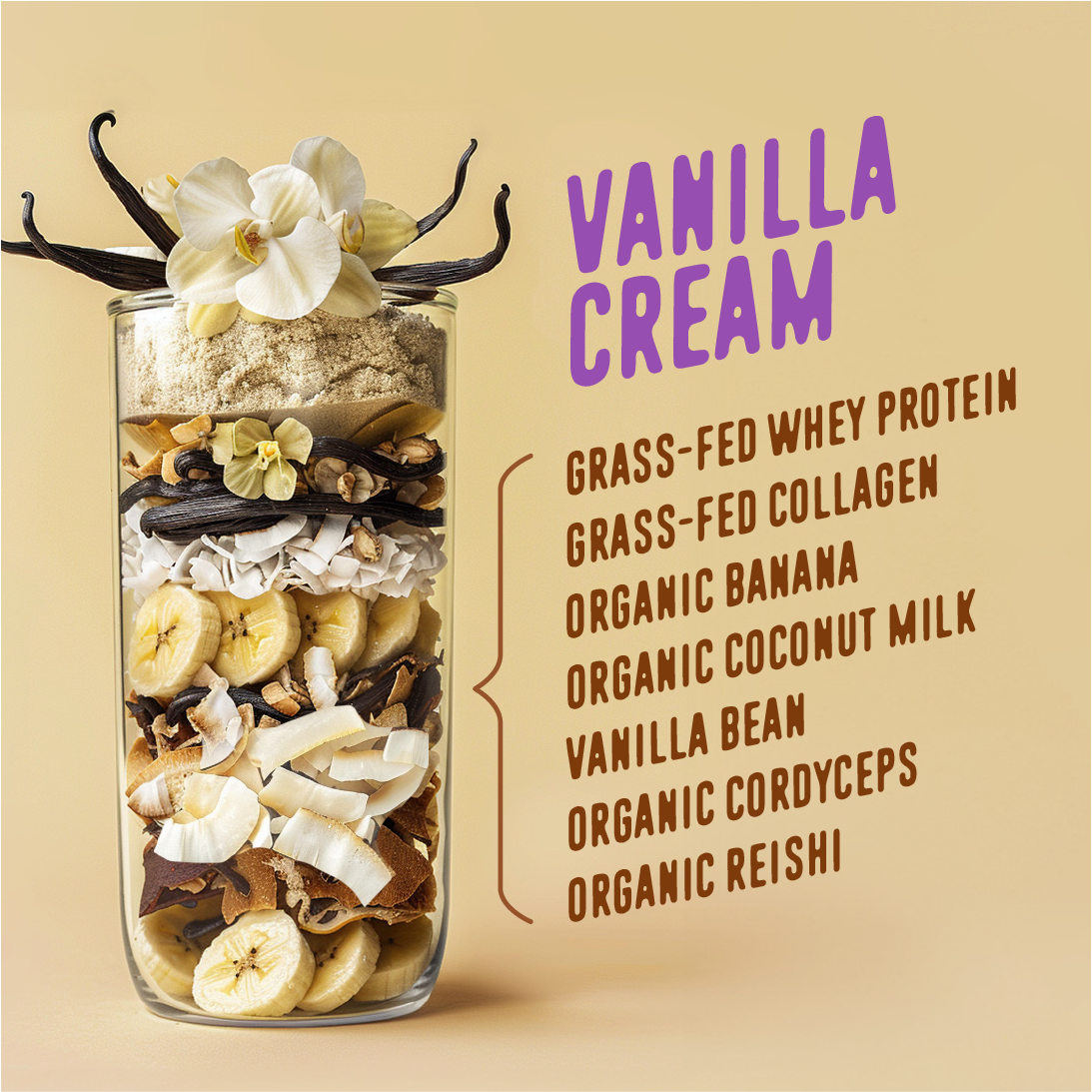 FlavCity Vanilla Cream All-in-One Protein Smoothie in a tall glass jar filled with layered ingredients including banana slices, shredded coconut, vanilla pods, and protein powder, topped with white vanilla flowers. The design highlights key ingredients such as "Grass-Fed Whey Protein," "Grass-Fed Collagen," "Organic Banana," "Organic Coconut Milk," "Vanilla Bean," "Organic Cordyceps," and "Organic Reishi," set against a warm cream-colored background.